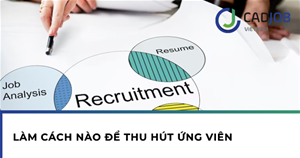 Làm cách nào để thu hút ứng viên