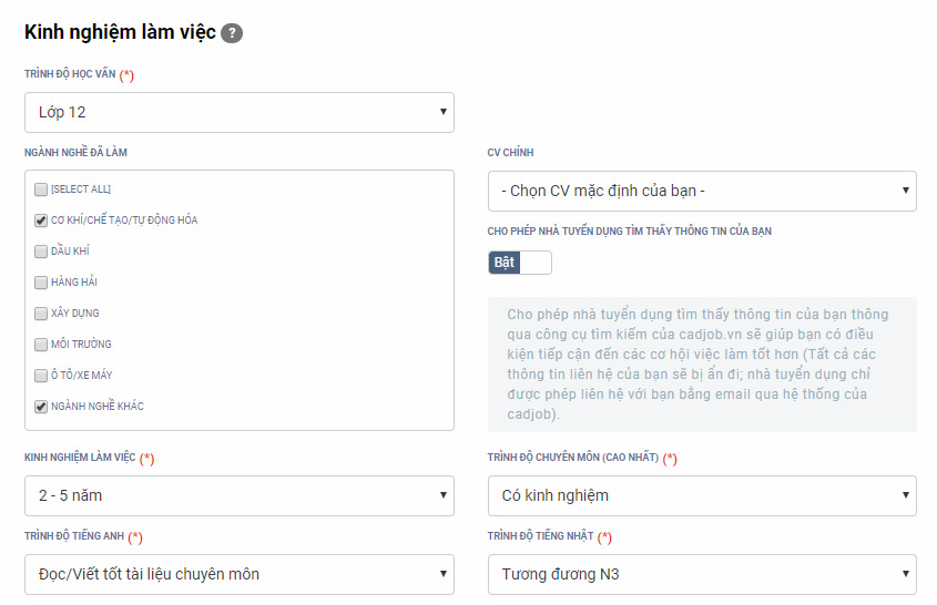 Kinh nghiệm làm việc
