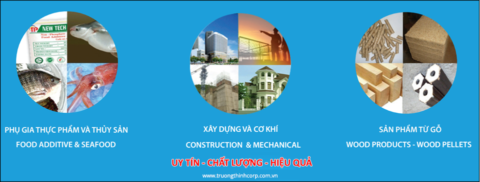 Công ty CP Đầu Tư Xây Dựng & Thương Mại Trường Thịnh